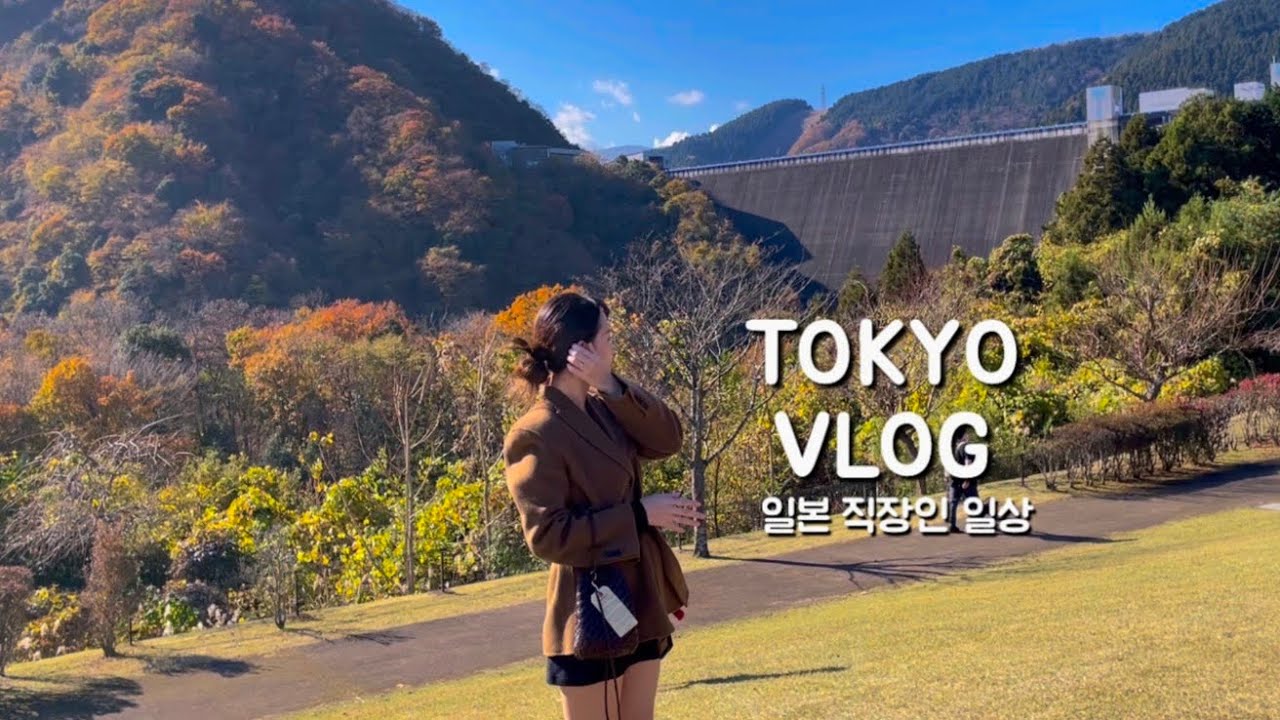 일본 도쿄 브이로그 | 주말에 야마나시 고민가 여행. 재택근무하고 장보는 일상 (사가미코, 가파오라이스, 소바 맛집)