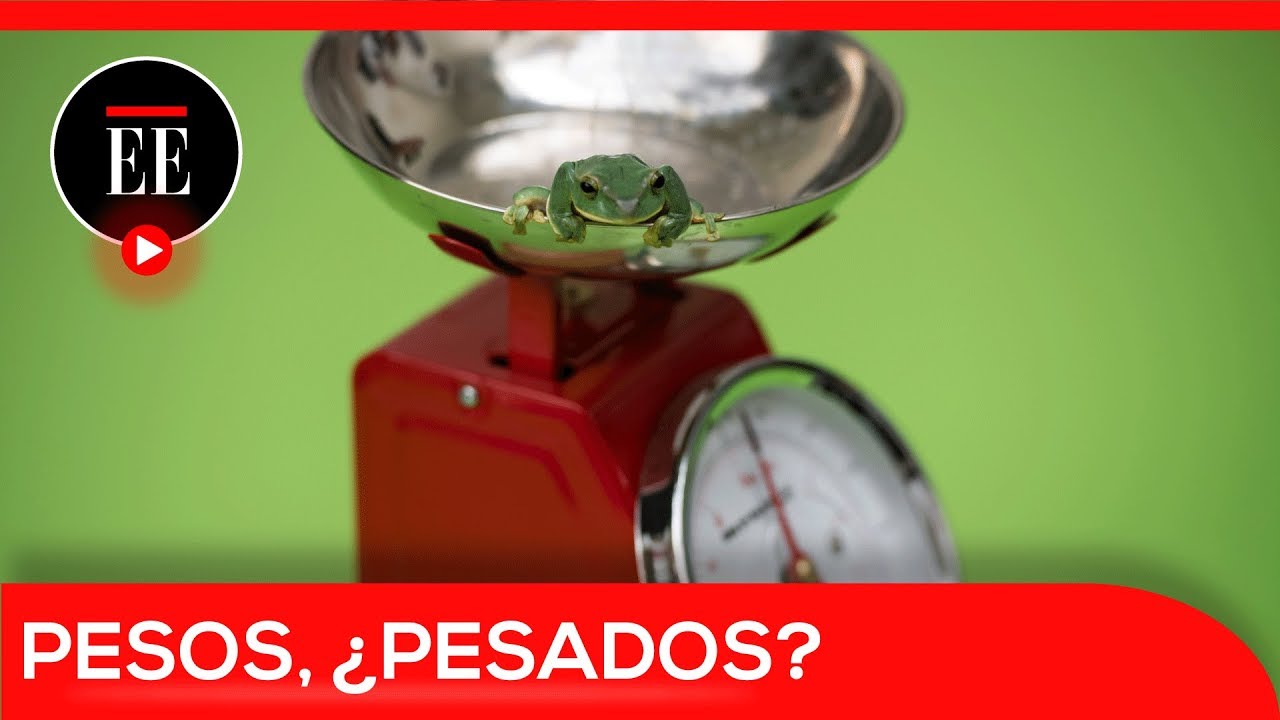 As&iacute; fueron pesados los animales del zoo de Londres | El Espectador