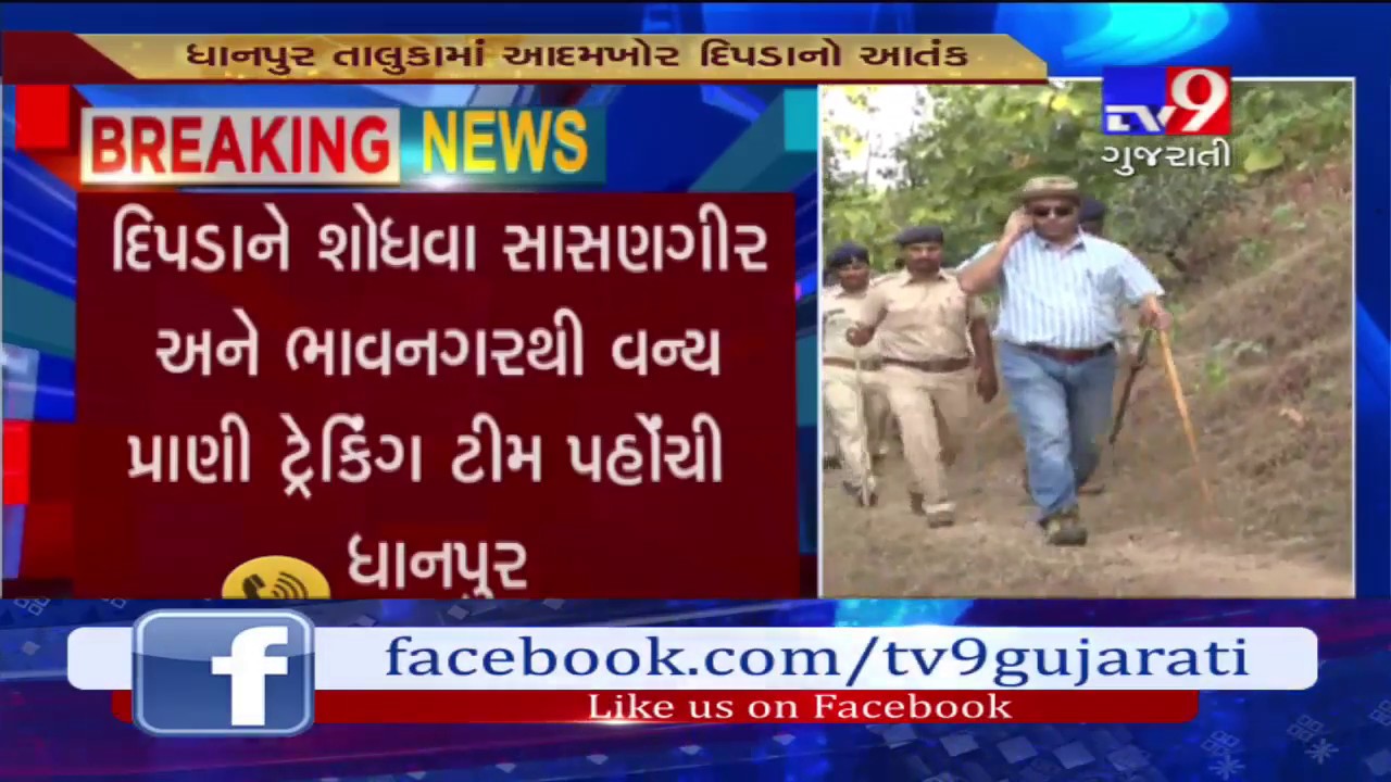 Dahod: Operation launched to catch maneating  leopard in Dhanpur village- Tv9