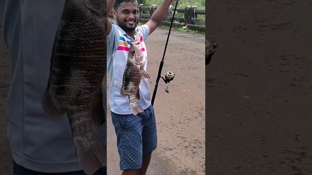 red snnaper fishing 🎣🐟🐬 !rod fishing -kokan fishing #shorts #viral #kokan #fishing #fishingvideo