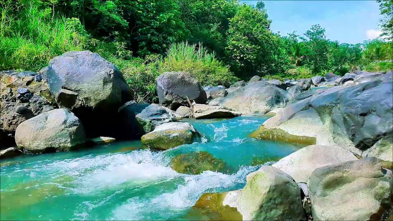 Live 24/7 Tranquil River Flow – Relaxing Water Sounds & Green Noise for Sleep & Calm