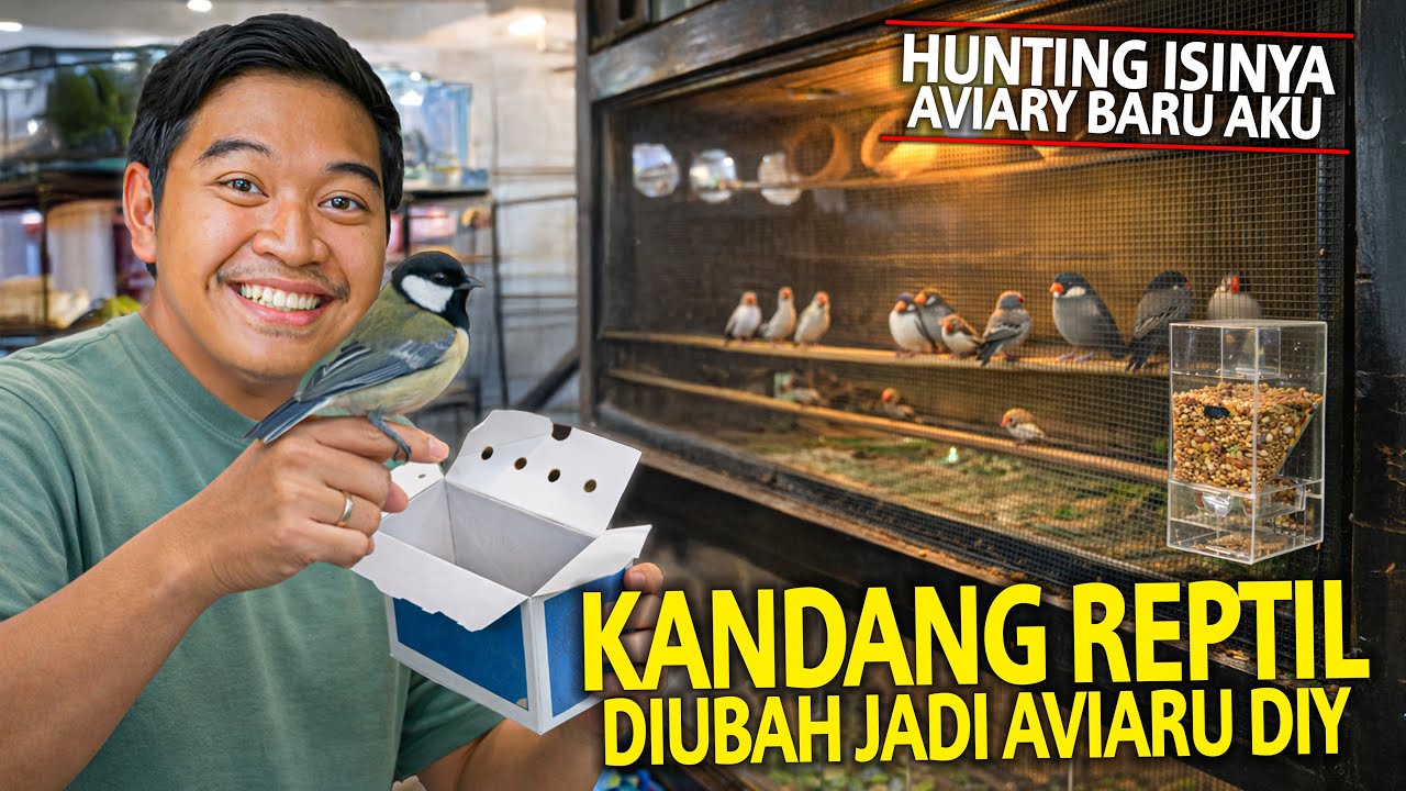 KANDANG REPTILE DISULAP JADI AVIARY DIY! KITA LANGSUNG HUNTING BURUNG BUAT AVIARY BARU AKU GUYS!