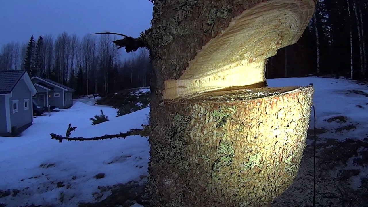 Metsolan Metsäkoulu 96, Kaatokolovirheitä