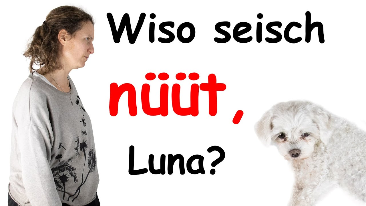 How to have a conversation in Swiss German?