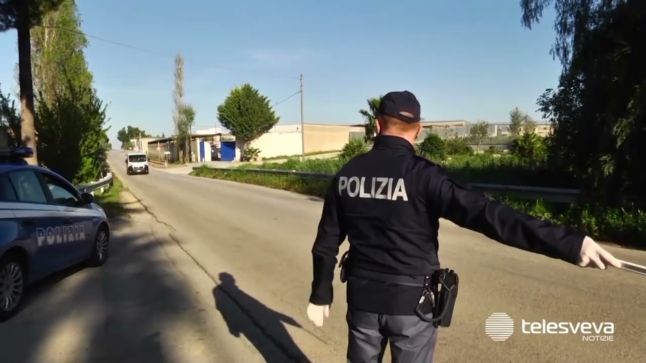 Ladri di Andria sorpresi con 50kg di olive nell'auto, intensificati i controlli nelle campagne