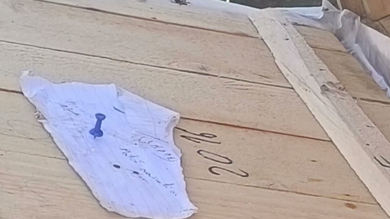 Matcă trântorită