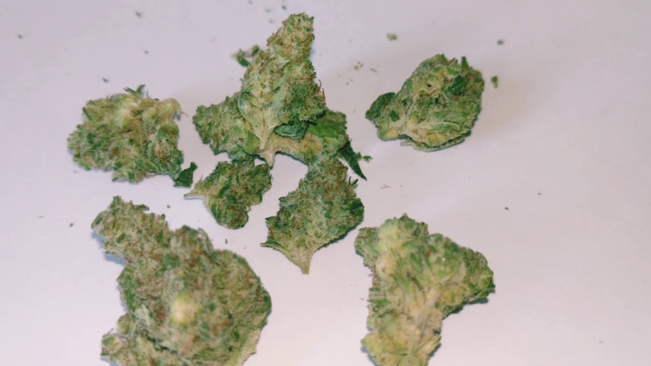 GG#4 X Super Skunk strain review of Harvest HOC by Florida Medical Marijuana Reviews