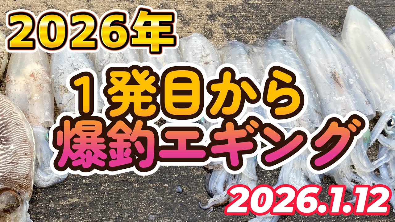 【アオリイカ爆釣】２０２６年エギング釣り初め！#釣り #squidgame #fishing #長崎 #平戸 #エギング #船釣り #ティップランエギング