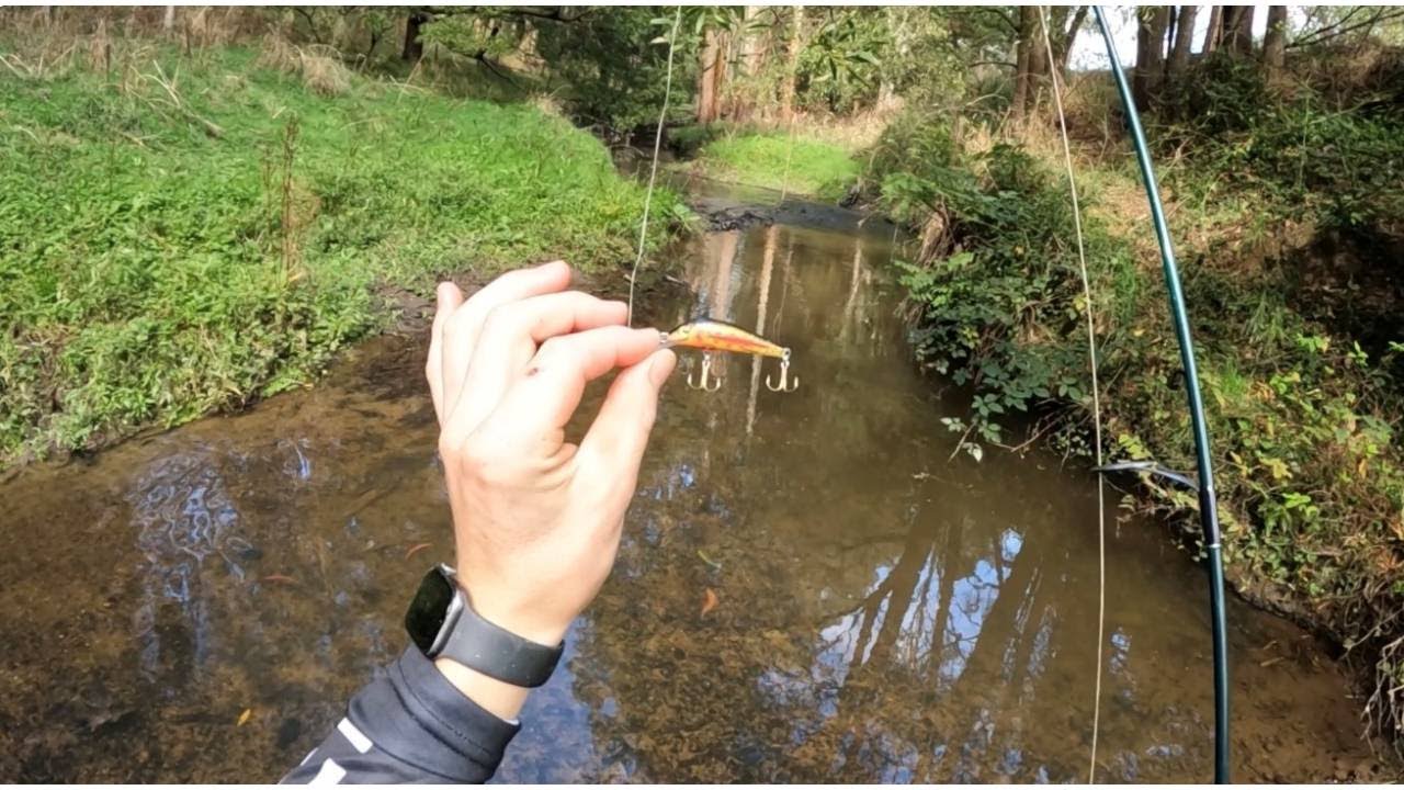 Autumn trout fishing with hard body lures (wildbait lures) robbie fishing