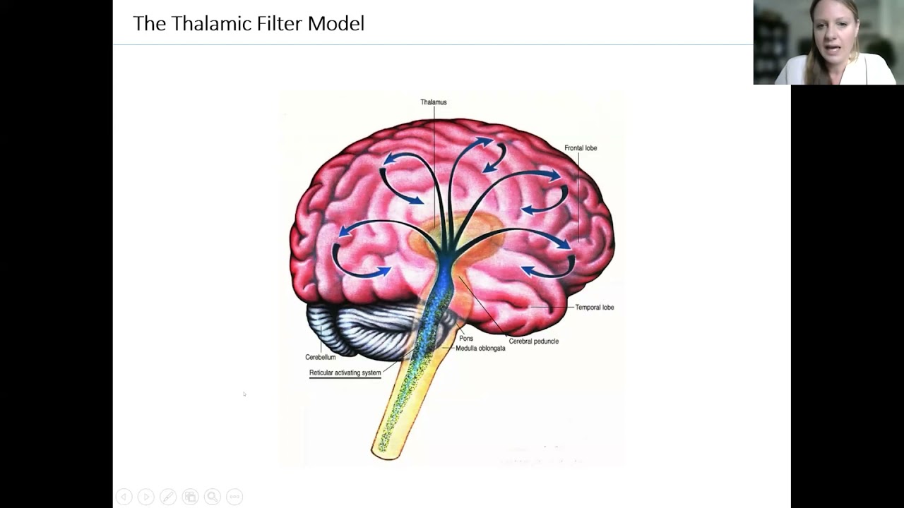 Neurobiological Mechanisms of Psychedelics for Psychedelic-assisted Therapy | Dr. Katrin Preller