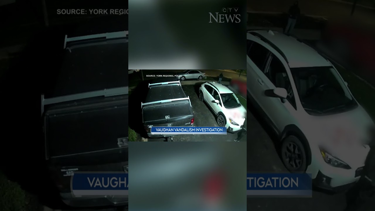 Police searching for suspects after Ont. home vandalized with goat head, hateful graffiti #shorts