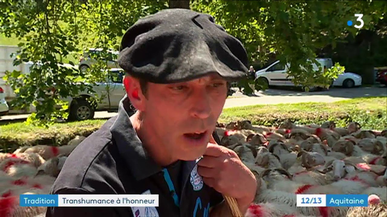 Debut de la transhumance a Lourdios Ichere