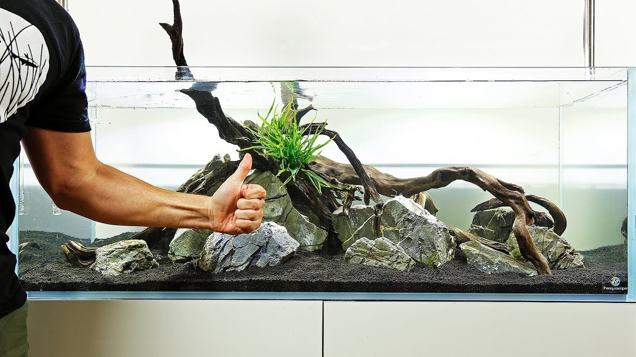 Aquascaper 1200 — подготовка аквариумных растений