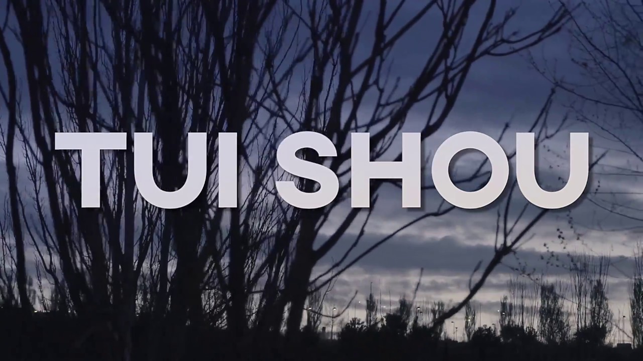 TUISHOU ___YEY WEY___ BSO MARTIAL ARTS