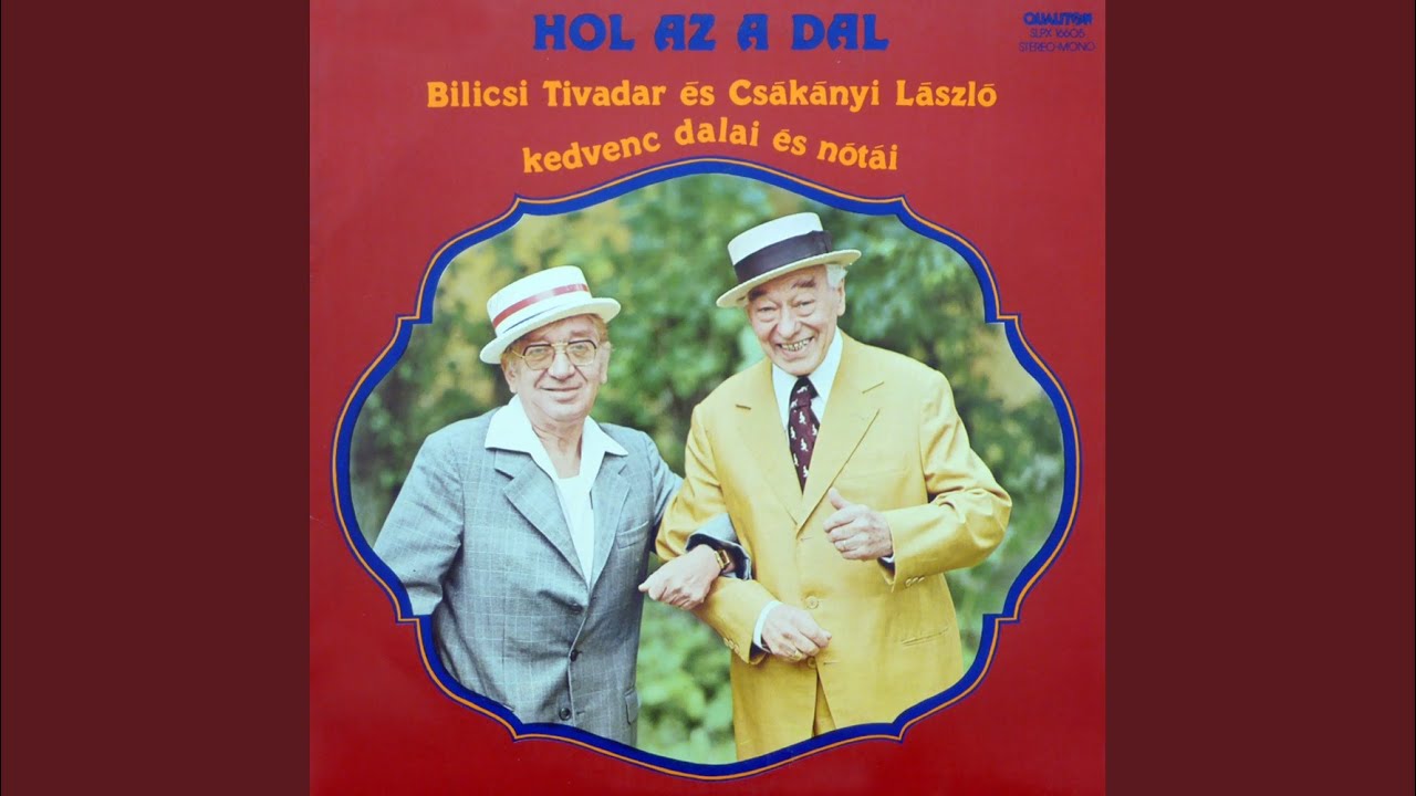 Feketehajú kis gimnazista voltál