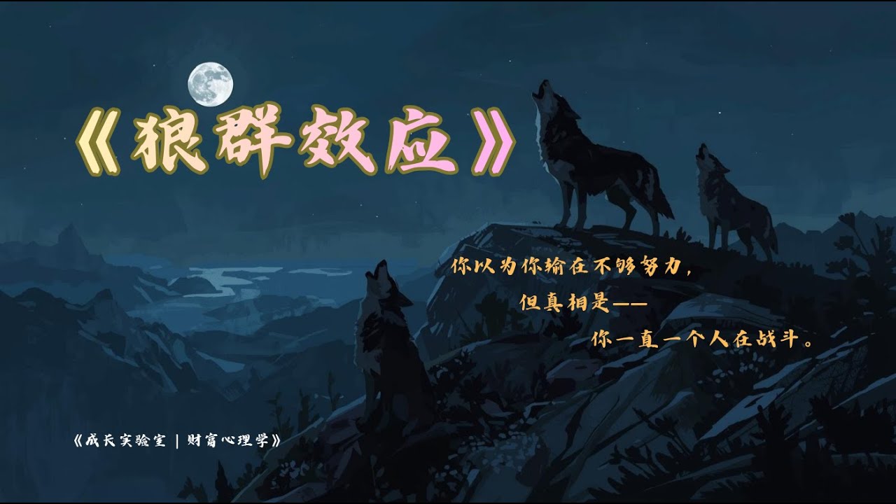 《狼群效应：为什么个人天赋，永远干不过结构优势？》在错误的结构里，用正确的努力。