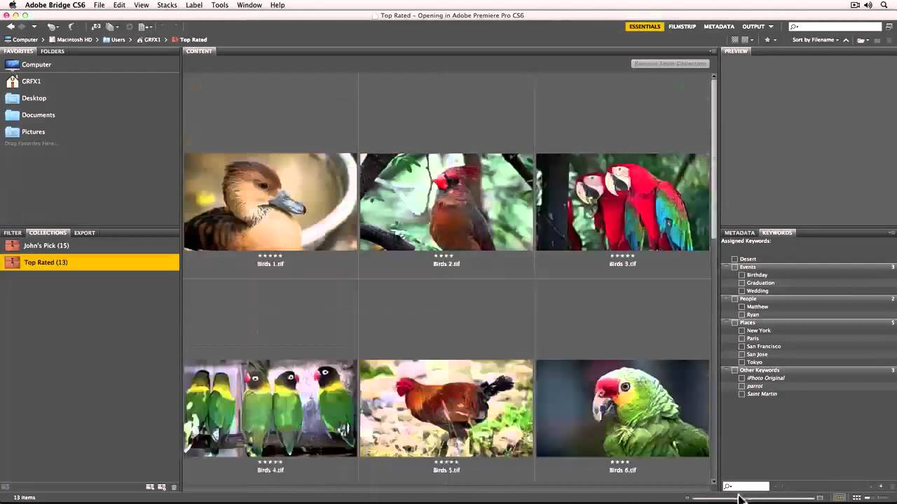 Building a Collection in Adobe Bridge with Adobe Premiere Pro
