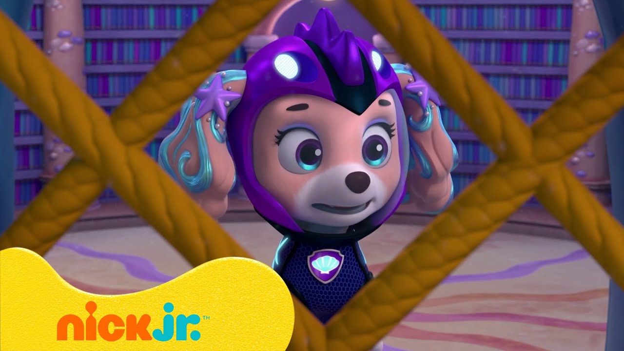 מפרץ ההרפתקאות 🐾קורל תקועה בספריה | ניק ג'וניור