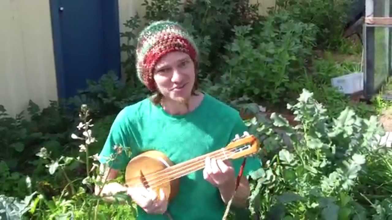Look Around (Permaculture Principle 1: Observe & Interact)
