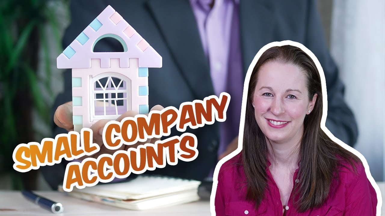 Limited Company - Small Company Accounts - What do they include? What do they look like?