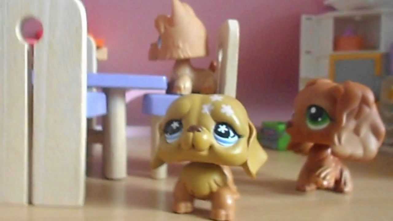 petshop la vie d'une famille (PARTIE1)