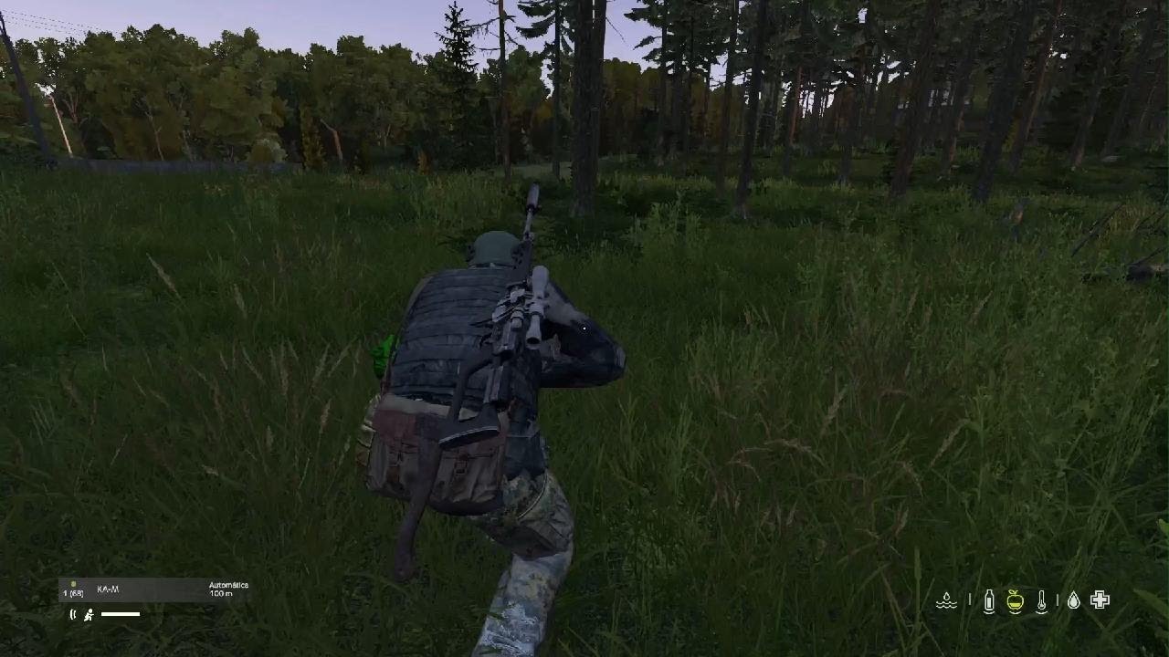 DayZ_20260217190232