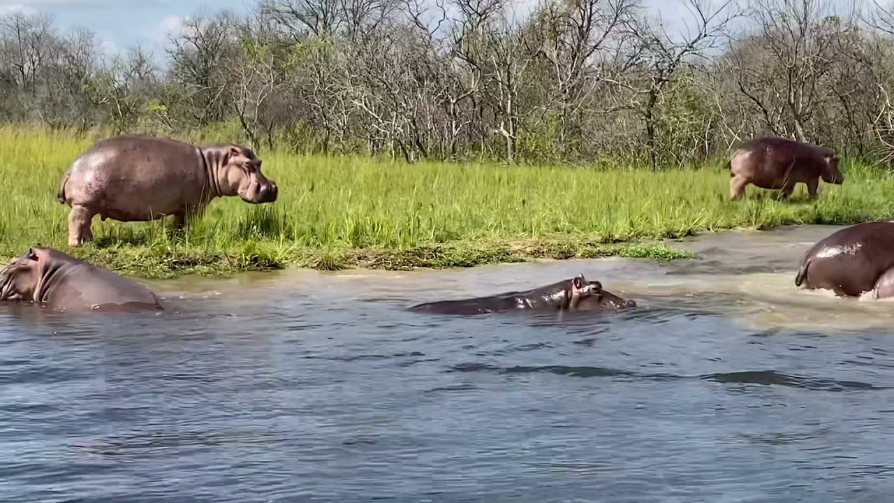 Africa plimbare cu barca pe r&acirc;ul Nil