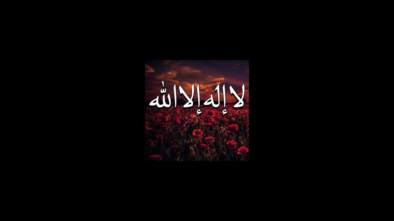 خواص لا إله إلا الله | لمولانا ضياء عشماوي