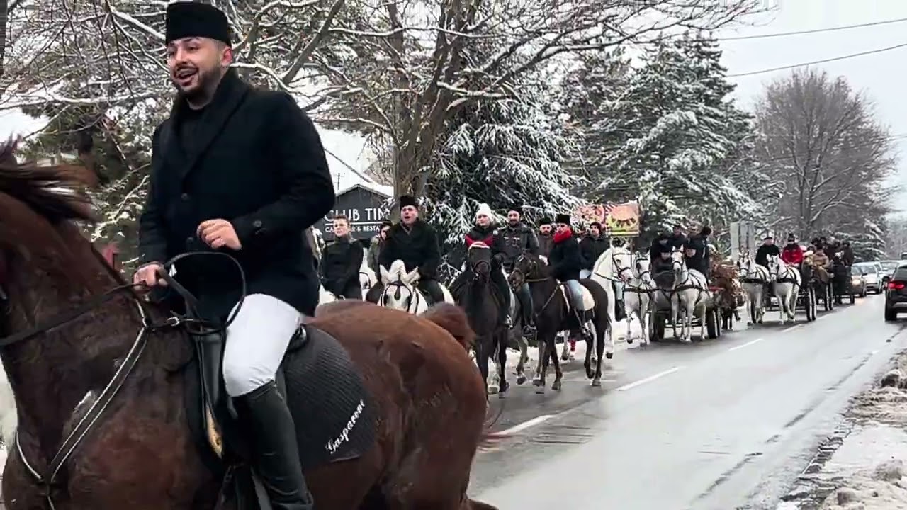 Stapar  2026 Badnjak konjari donose badnjak