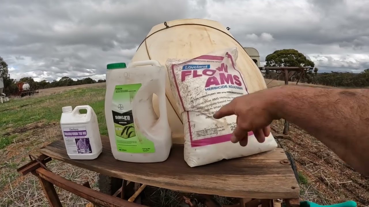 The complete process of planting wheat.