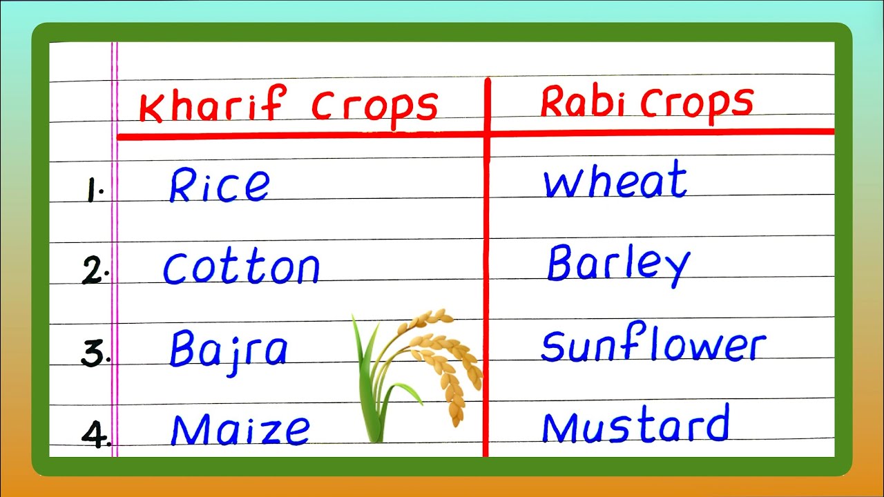 Examples of Kharif Crops and Rabi Crops | Kharif Crops and Rabi Crops Name | Updated Video