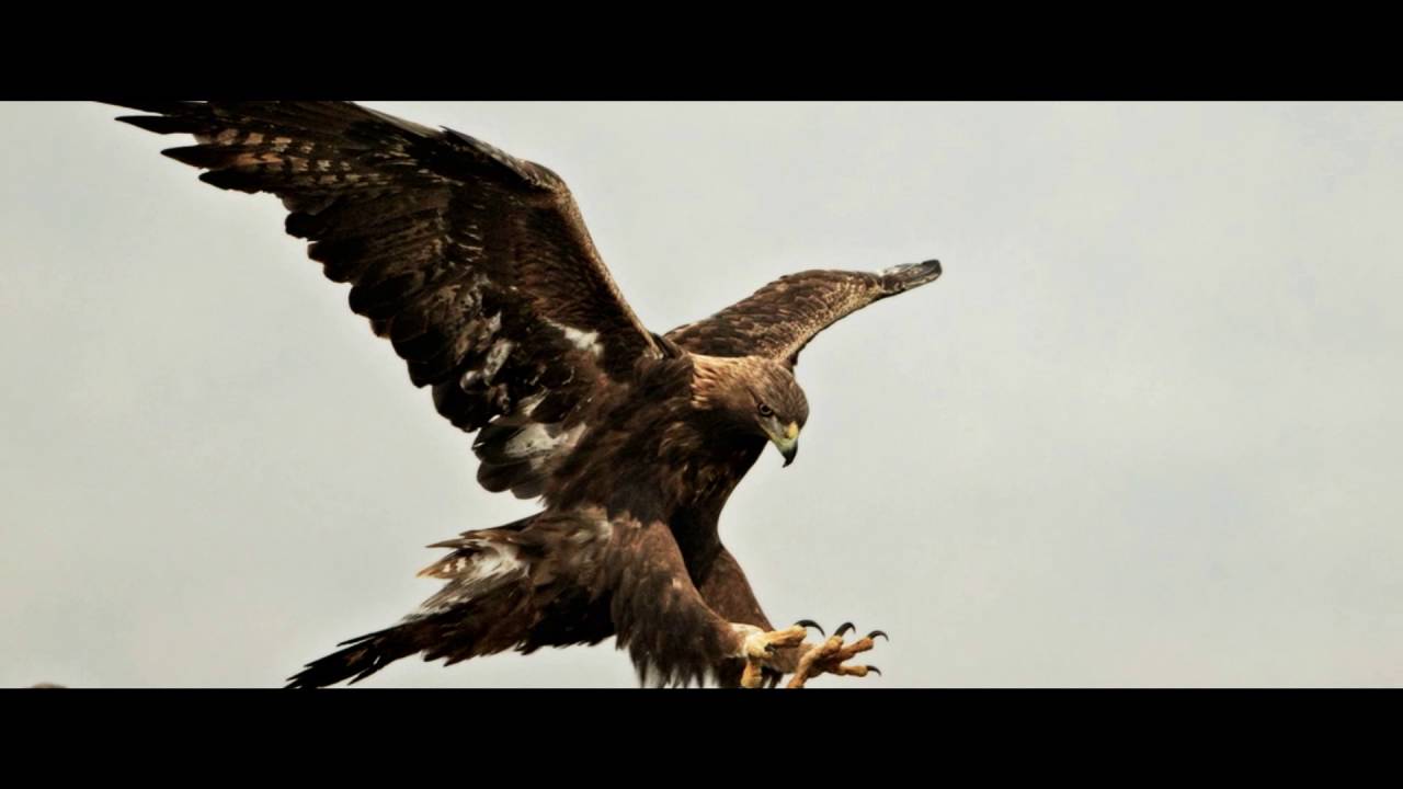 Легендите оживяват (Северна България) - Легендите от село Карлуково - С3, Еп09