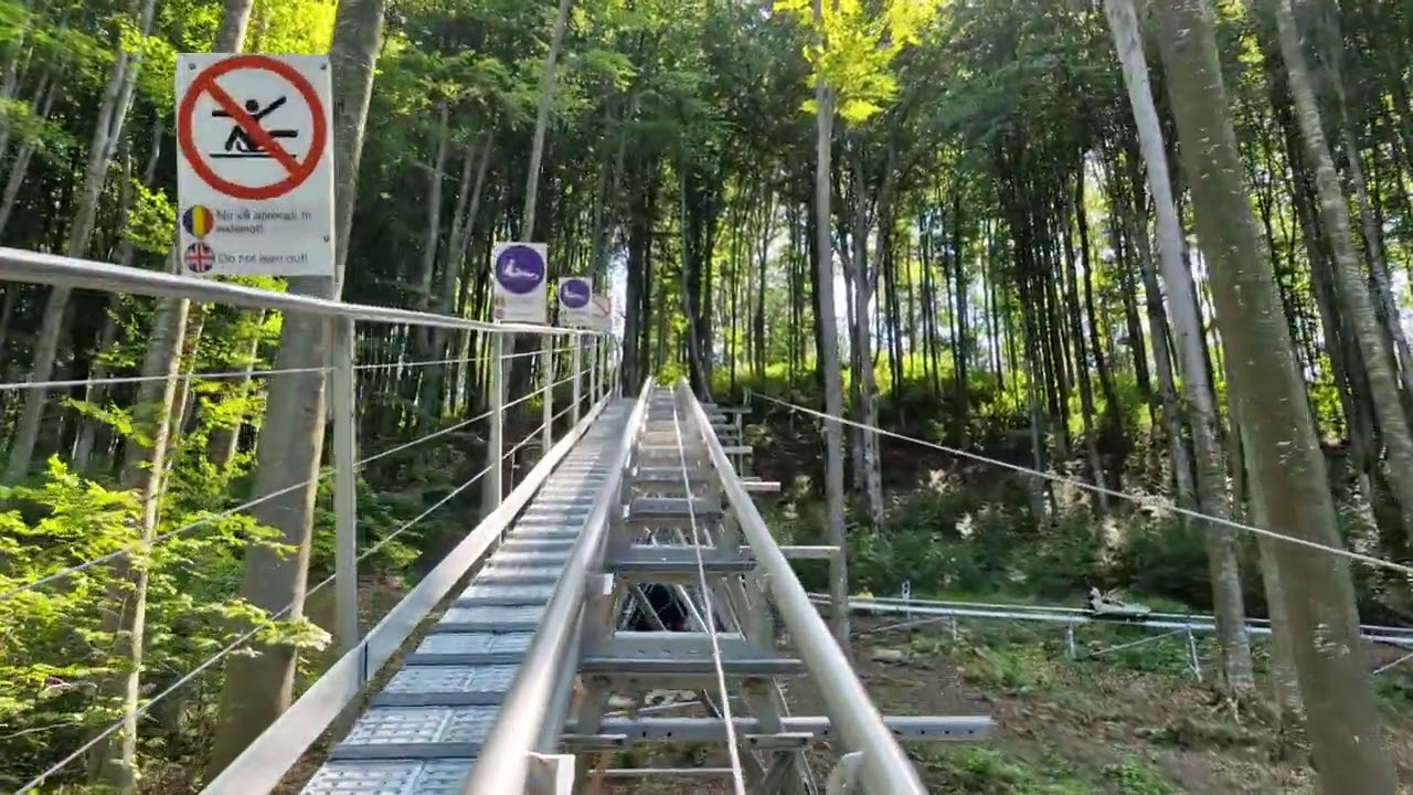 Gura Humorului  - Forest Coaster