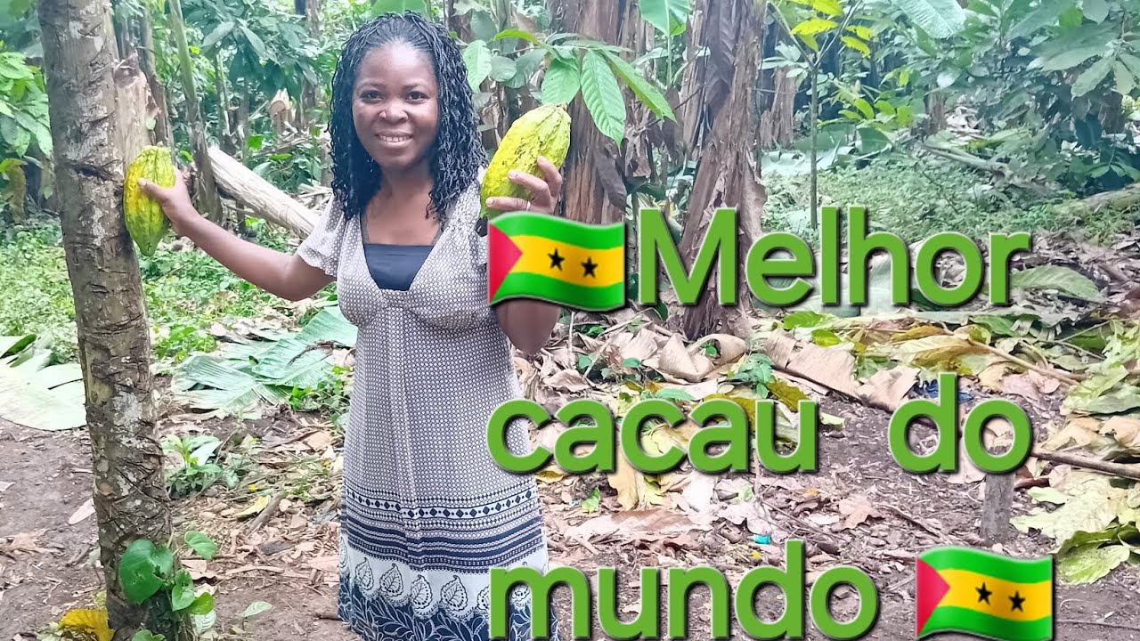 🇸🇹Cacau de São Tomé 🇸🇹