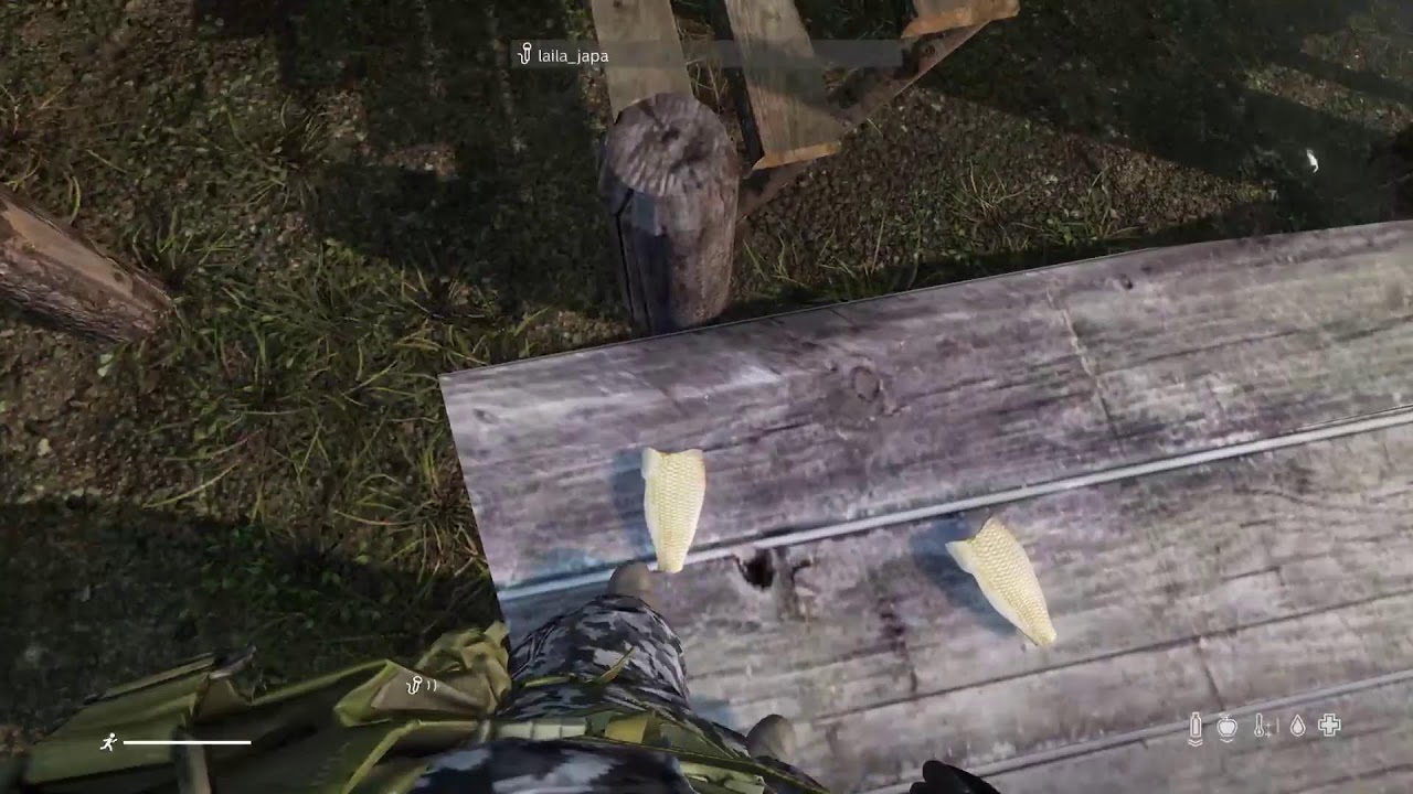 DayZ