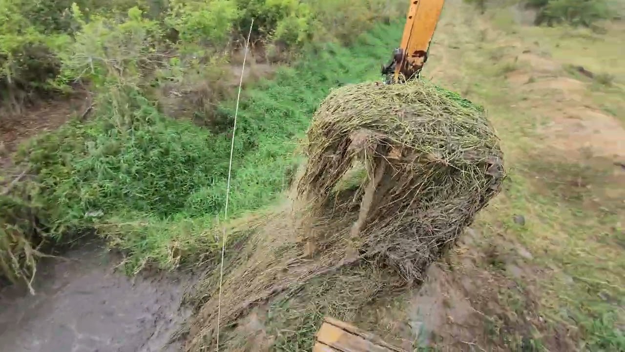 Muito mato dentro da VALETA 🍃 Escavadeira hidráulica 