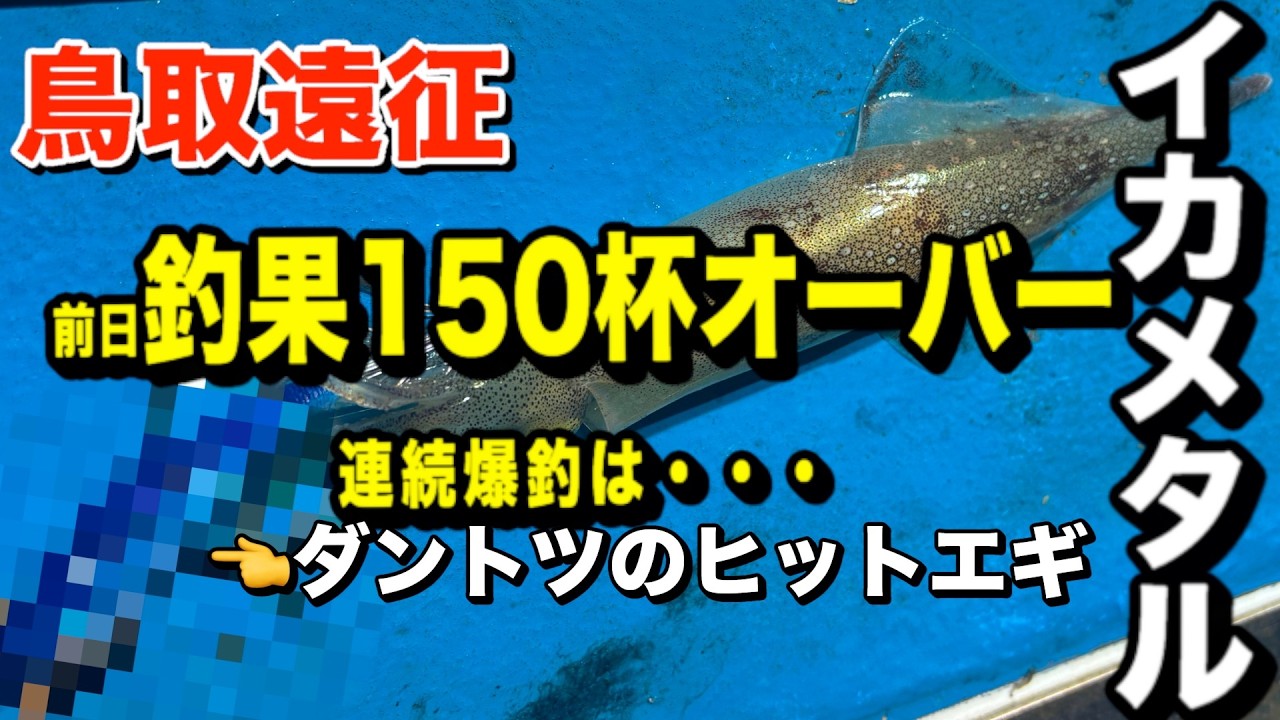 【イカメタル】鳥取ヤリイカ遠征！浅棚9m連発の夜