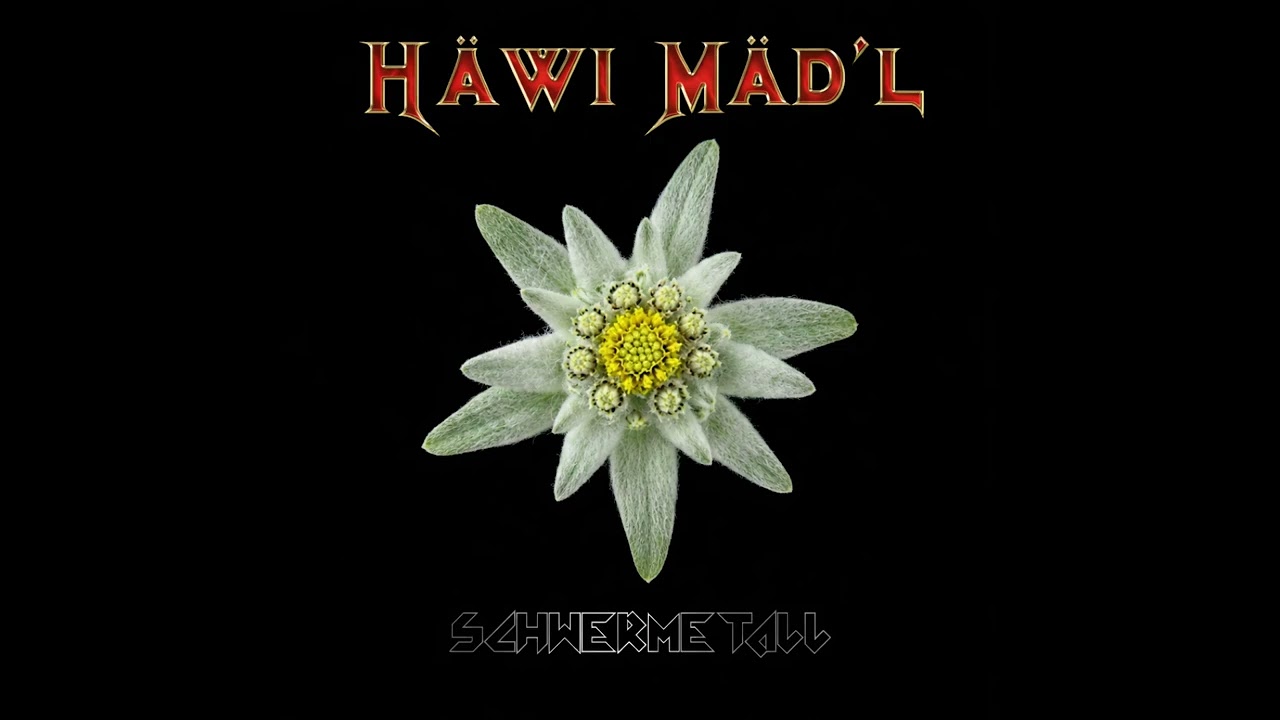 Häwi Mäd'l - Tannenzauber
