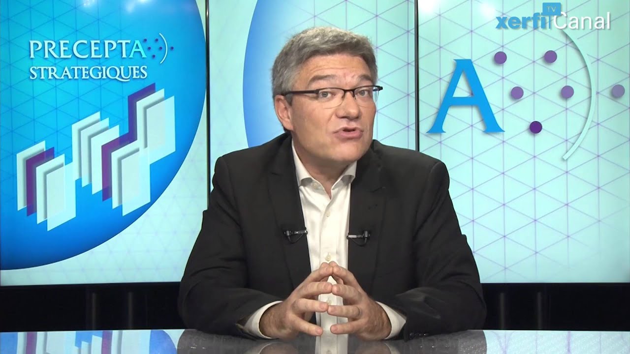 Frédéric Fréry, Xerfi Canal Comment le succès mène à l'échec