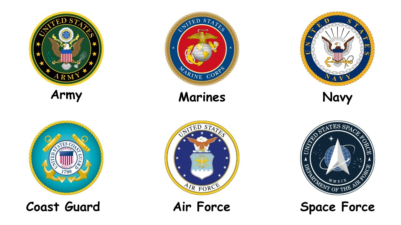 Every Rank in the US Military  ( Full Series ) (1 Hour)