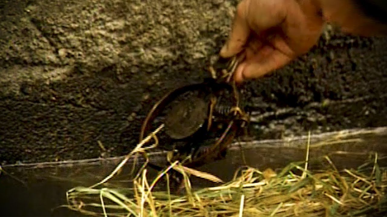 Old School: Setting A Mink/Raccoon Wing Wall Set With Drowning Rod