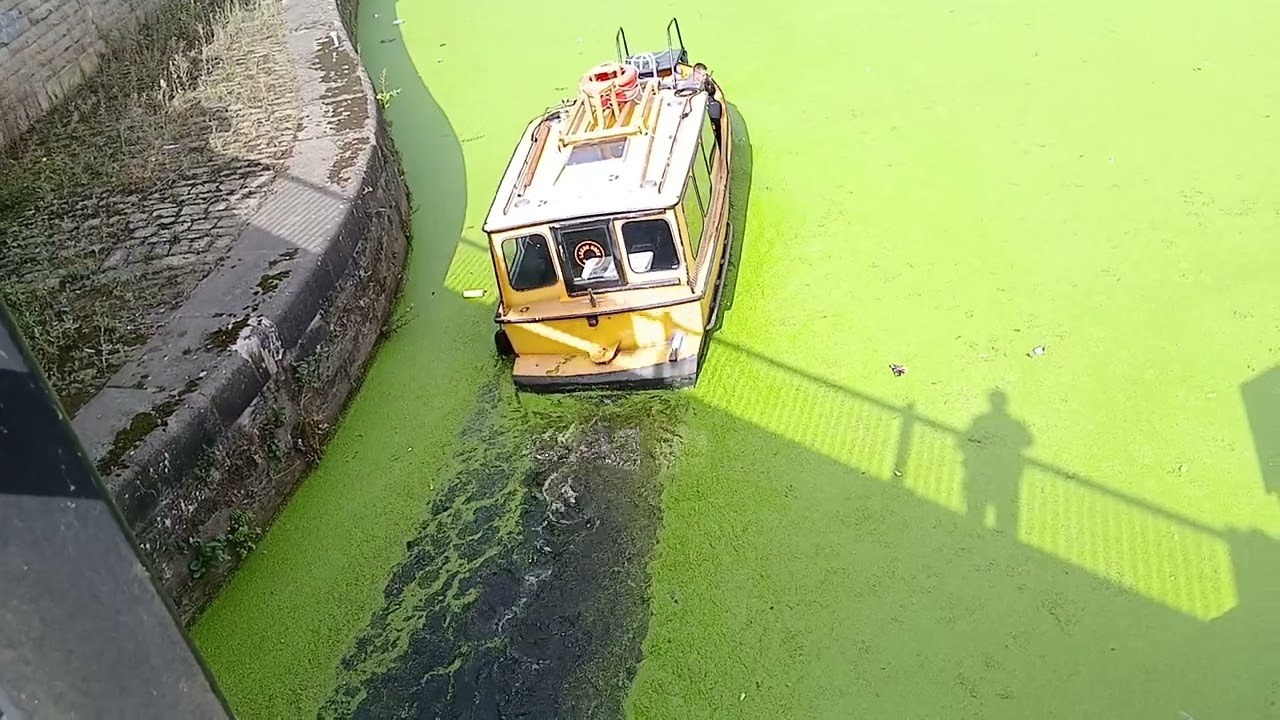 The River Taxi makes its way through the thick slime 