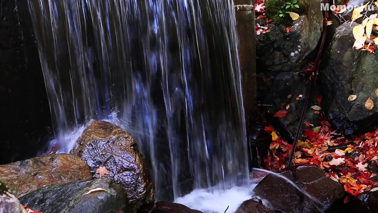 【白噪音】