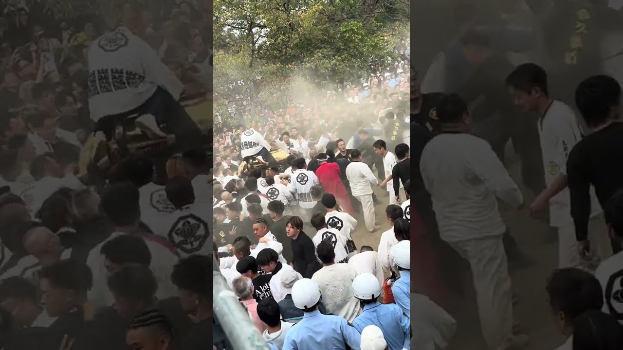 松山秋祭り2023/10/07立花✨日の出　✨喧嘩神輿✨