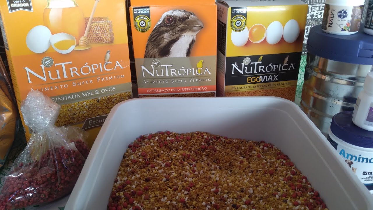 Alimentação de Trinca Ferro para Reprodução