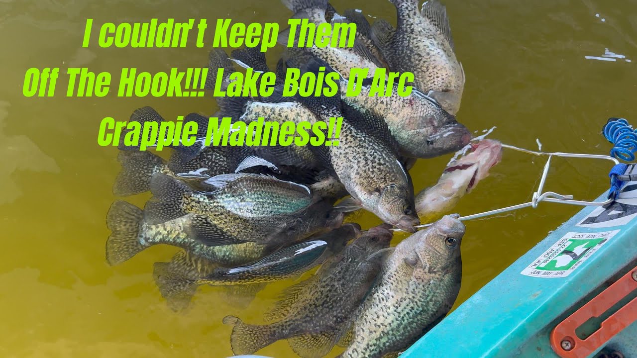 Lake Bois D'Arc Crappie Madness! I Couldn't Keep Them Off the Hook!?