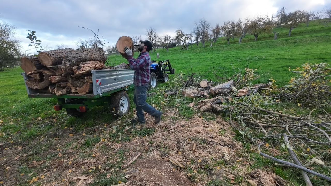Solis 26 und ein Kippanhänger voll Obstbaum