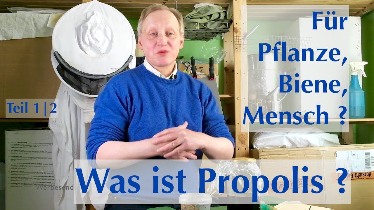 Was ist Propolis für Pflanze, Biene, Mensch ? - Teil 1