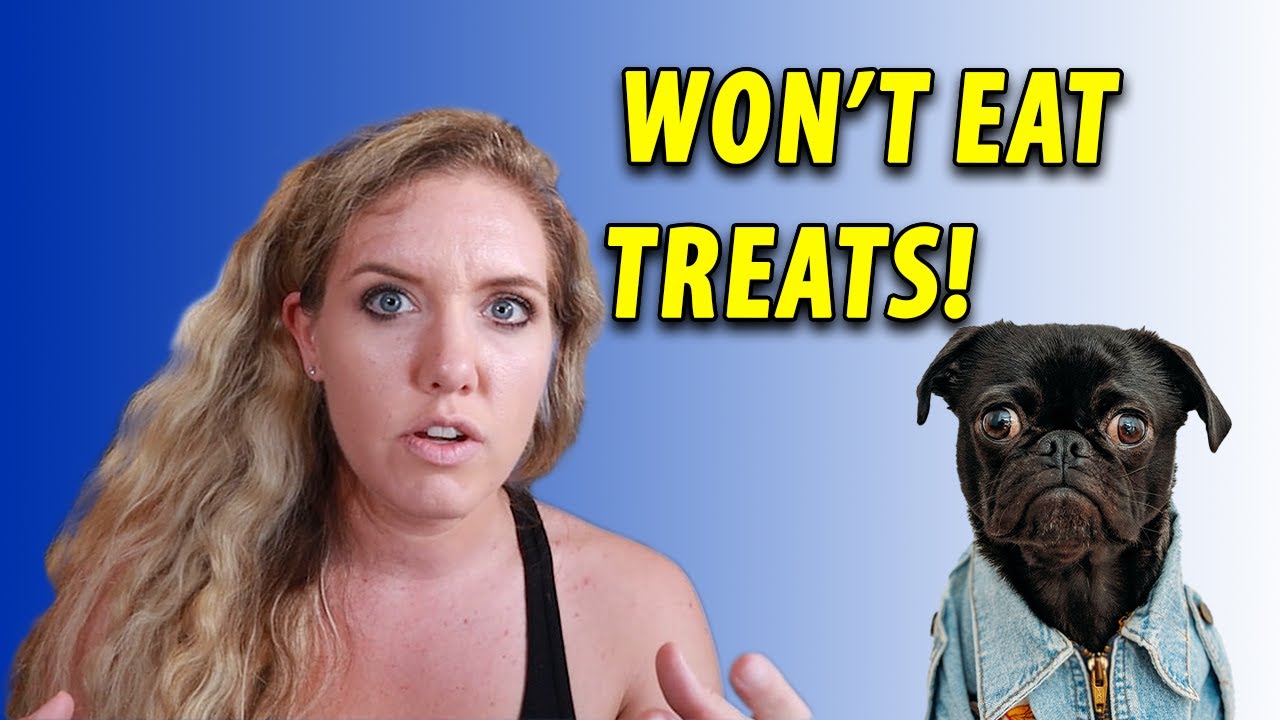 How To Train An Anxious Dog Who Won't Eat Treats