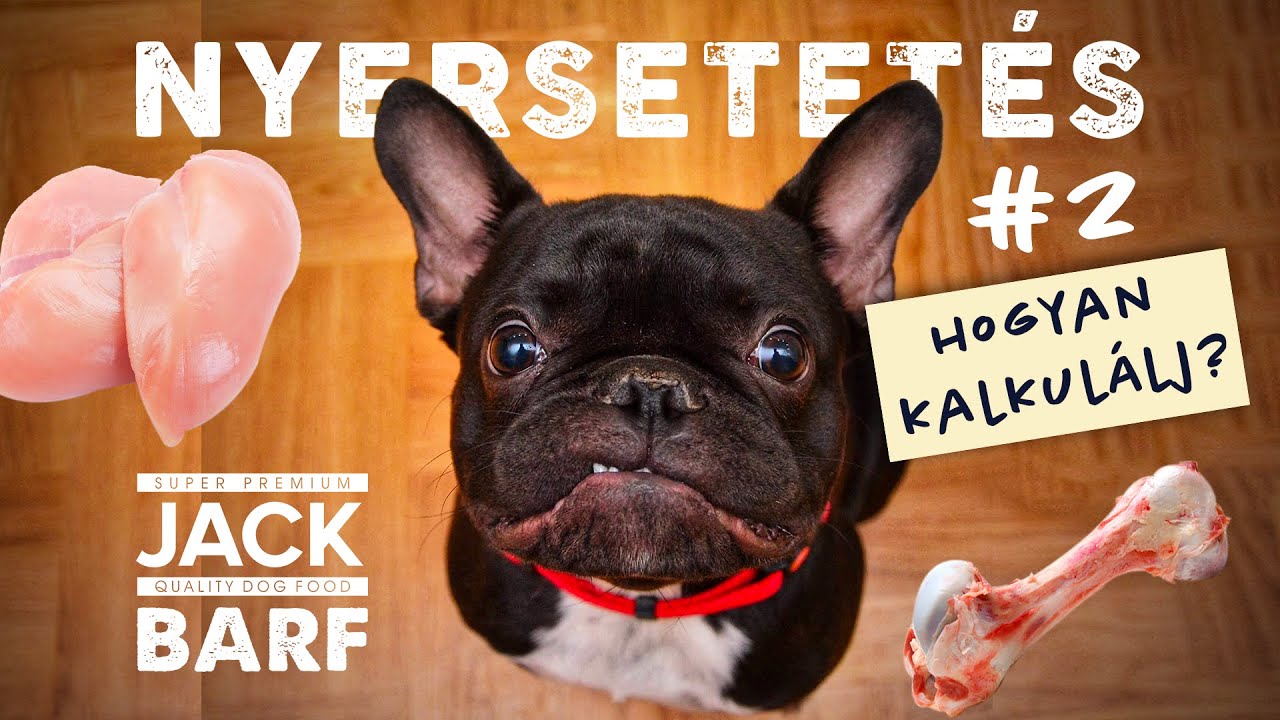 BARF étrend kutyáknak #2 - így kalkulálj